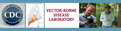 mmc vector borne disease laboratory